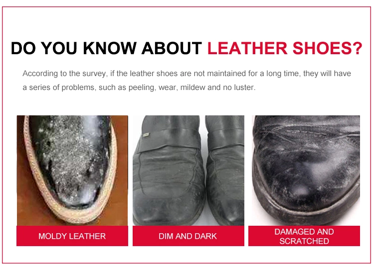Plastic Leaf Shape Box Instant Clean Commercial Shoe Shine Sponge